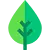 Category Image